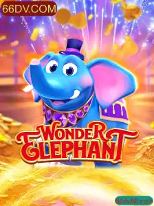 Explorando o Mundo do WonderElephant
